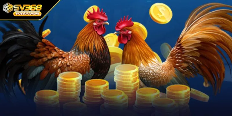 Giá trị và đặc điểm nổi bật của gà cọp